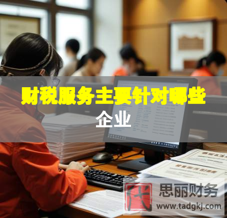 財稅服務主要針對哪些企業