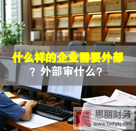 什么樣的企業需要外部？外部審什么？