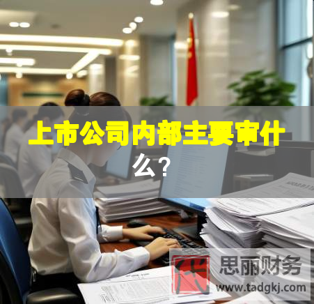 上市公司內部主要審什么？