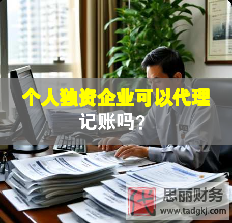 個人獨資企業可以代理記賬嗎？