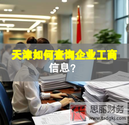 天津如何查詢企業工商信息？