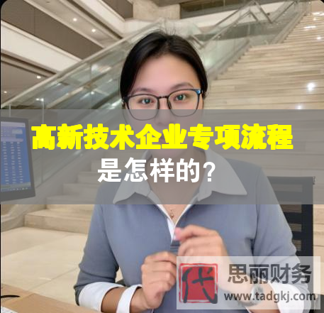 高新技術企業專項流程是怎樣的？