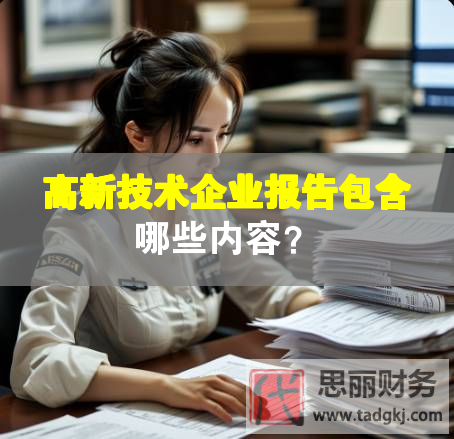 高新技術(shù)企業(yè)報告包含哪些內(nèi)容？