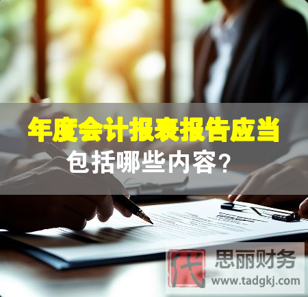 年度會計報表報告應當包括哪些內容？