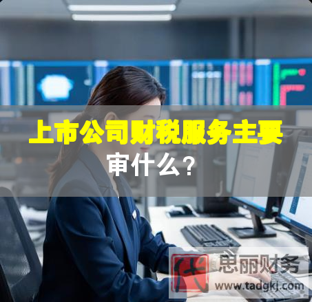 上市公司財稅服務主要審什么？