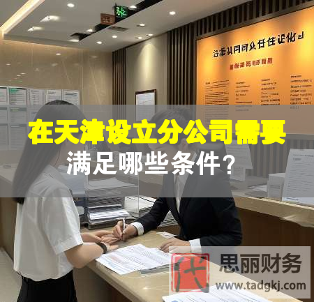 在天津設立分公司需要滿足哪些條件？