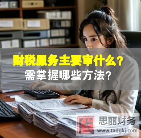 財稅服務主要審什么？需掌握哪些方法？