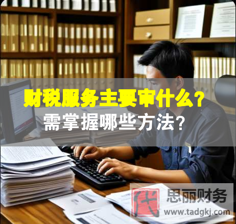 財稅服務主要審什么？需掌握哪些方法？